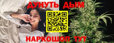 Альфа ПВП Малгобек