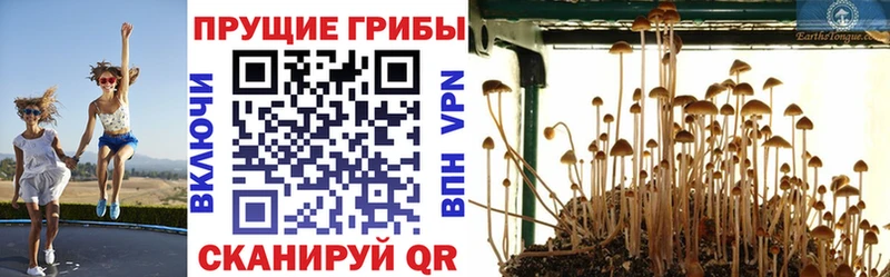 Галлюциногенные грибы Magic Shrooms  Дербент 